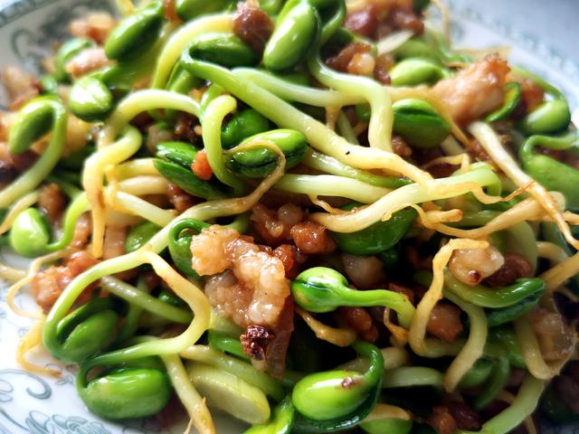 如何生绿豆芽和黄豆芽，不用土壤不用肥料