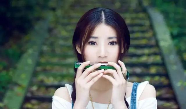 复音口琴吹奏全集，复音口琴的各种吹奏法