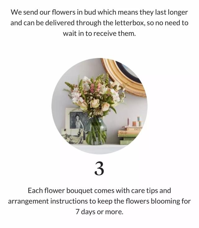 互联网花店的市场分析，3家外国线上花店