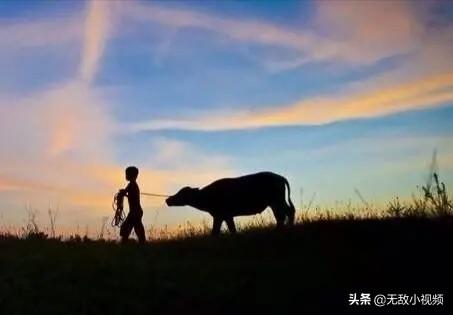 人生四大乐事都是哪四个，人生“四大乐事”：攒钱
