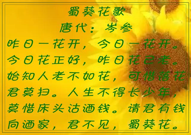 傲阳的诗句大全，倾阳丹心独自在