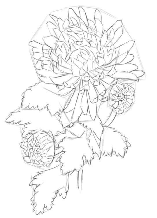 菊花的初学画法，适合零基础学习的菊花三种画法教程