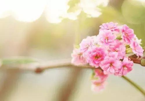 人生忠告经典短句，深度有涵养的句子
