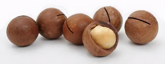 夏威夷果长什么样，原来夏威夷果是长这样的（夏威夷果：“名不副实”的坚果）