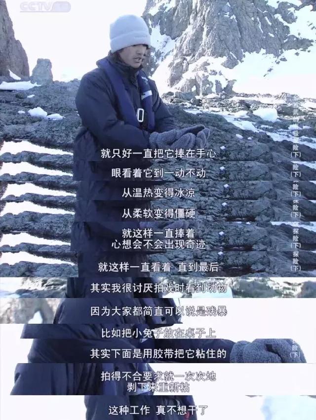 金城武长得真的不帅，48岁金城武近况曝光