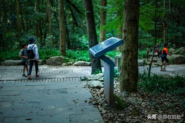 杭州冷门爬山路线，杭州登山路线08最好在这里