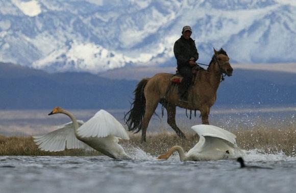 张家口方言实话实说，当张家口方言遇到察哈尔土语