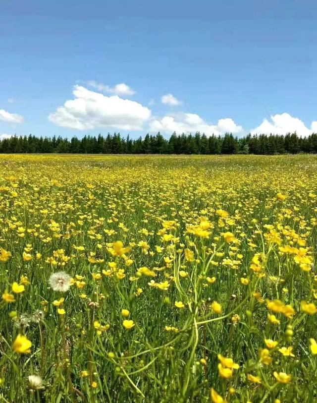 延吉的这个大草原，延吉十大旅游景点