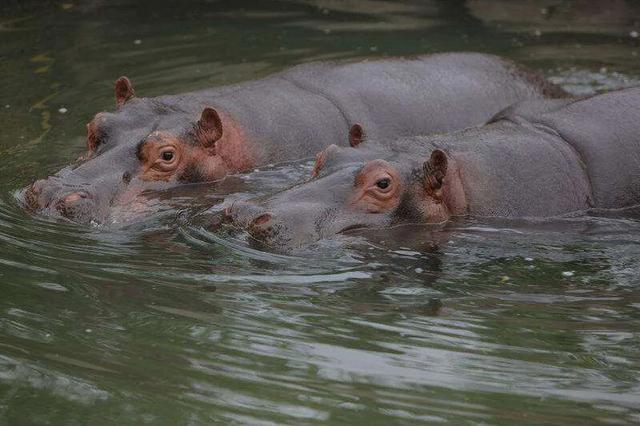 上海最新十大景点，最上海潮玩地——新地标·新风尚TOP10榜单来了