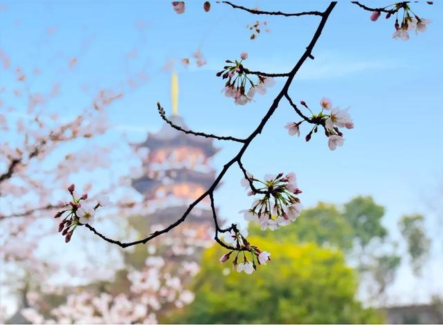 三月最值得去的旅游地方，9大绝美春色旅行地