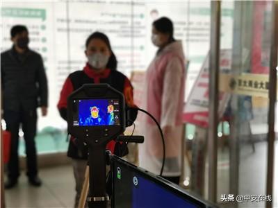 合肥胖墩(合肥胖墩墩信息技术咨询有限公司)