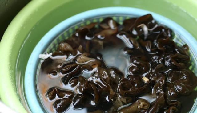 泡木耳最快的方法，快速泡发木耳方法窍门（泡木耳10个人9个错）