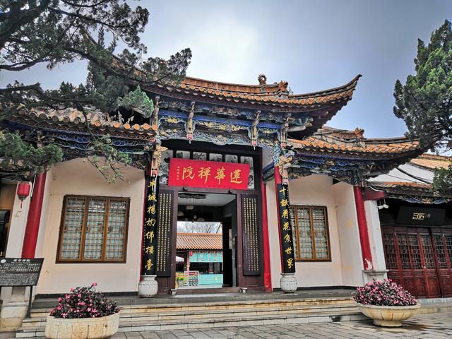 昆明海鸥最佳观赏地，去海埂大坝看海鸥前