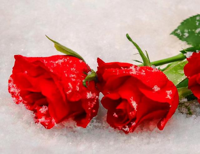 发朋友圈，要记得：屏蔽一些“重要”的人