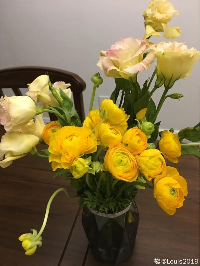 春夏秋冬四季什么花好看，这十种花几乎一年四季都开花