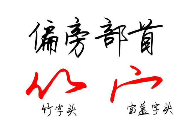 写竹字头技巧，每日四个字，一起慢慢进步