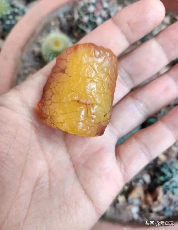 蜜蜡认主人的表现，蜜蜡的基本认识（蜜蜡佩戴有什么样的规则呢）