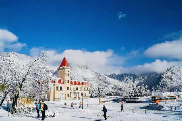 西岭雪山游玩攻略，西岭雪山旅游攻略完整版（成都周边的“小西岭雪山”）