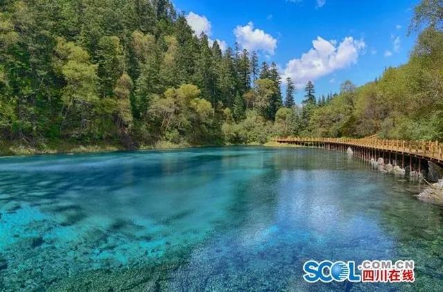 九寨沟官网门票预订，九寨沟开放啦全网购票