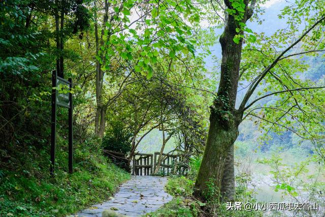 陇南市旅游景点，陇南旅游必去景点攻略（畅游陇南甘南）