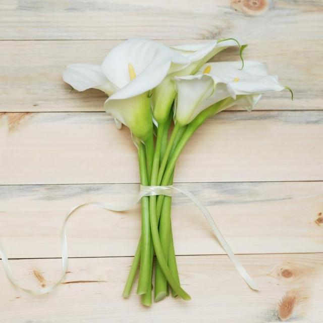 情人节送什么花比较好点，这几种花颜色多还实惠