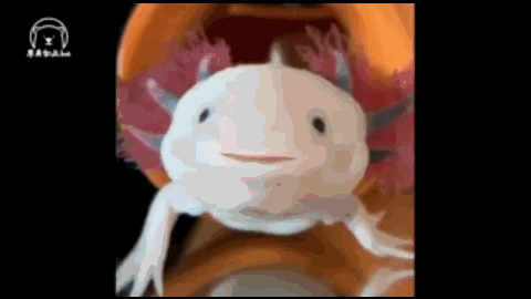 头上有角的恐龙，最强的十个角龙类恐龙（《侏罗纪公园》恐龙形象是恐龙本尊吗）