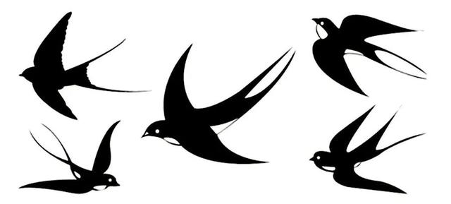 嬉戏花丛全文阅读，燕子怎么画儿童画