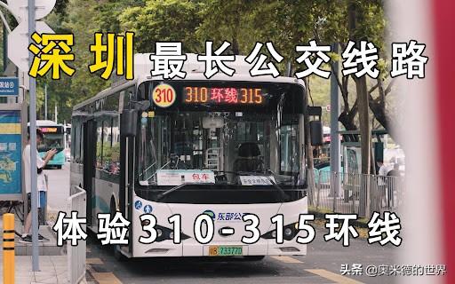 鹏城是哪个城市，深圳有几个城市叫鹏城（深圳有大鹏半岛）