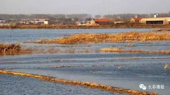 长春市都有哪些公园可以玩，长春市这些文化主题公园你都去过吗