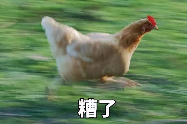 今秋时髦女人都爱穿这几款单鞋，还没买到满意的通勤单鞋