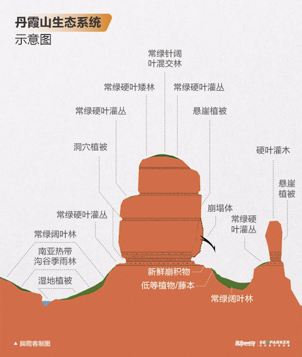 丹霞山海拔多少米，丹霞山重要景点有哪些（广东韶关丹霞山进入观云海最佳时期）