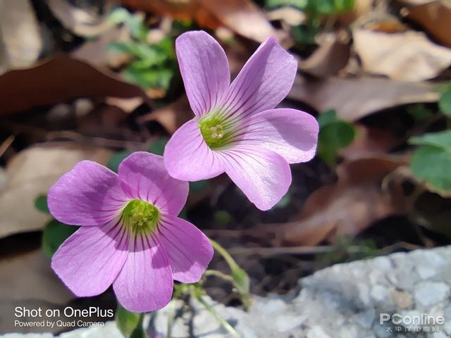 骁龙870还值得入手吗，一场属于骁龙870的顶上战争