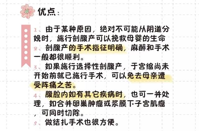 猫的生育常识和技巧，最全的入门级生育指南