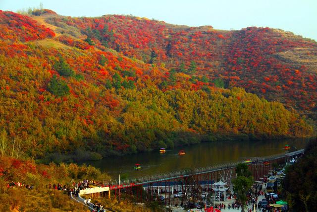 南阳市有几个县，河南南阳到底有几个县城