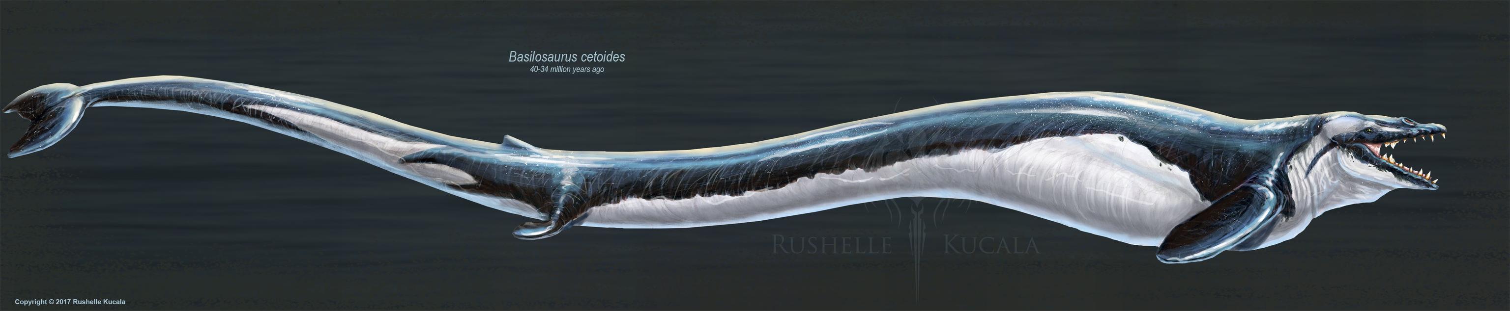 鲨鱼是不是哺乳动物（鲸鱼鲨鱼鳄鱼哪个厉害）