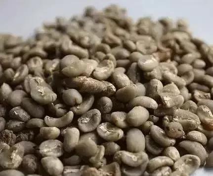 印尼顶级麝香猫咖啡，除了麝香猫咖啡