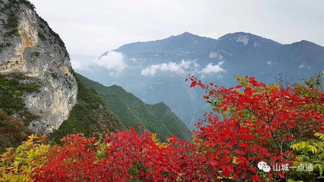 重庆开州的景点有哪些，重庆开州区有什么好玩的地方