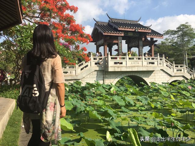 惠州市区旅游攻略自由行攻略，惠州最值得游玩的N个地方