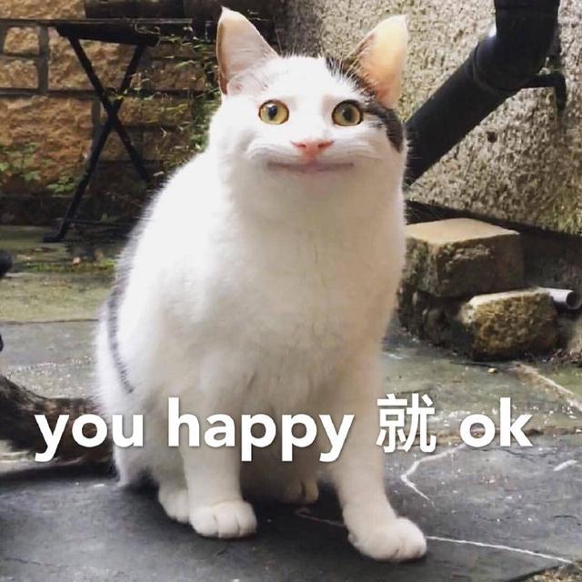 猫咪表情包大全图，可爱的猫咪表情包合集