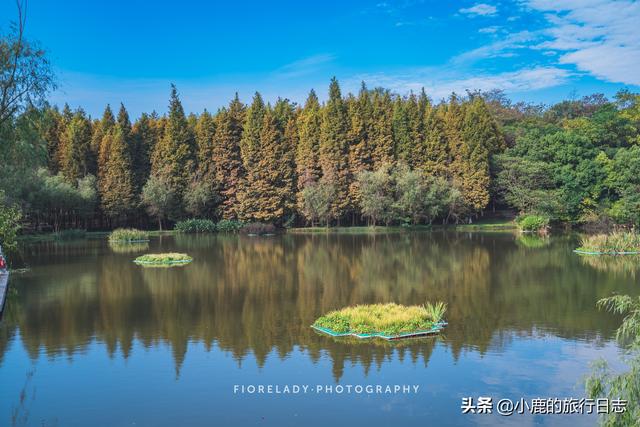 南京自驾旅游攻略最全，心灵洗礼与深秋拥抱