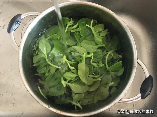 凉拌田七菜的做法，饭店的名菜凉拌田七为什么好吃（凉拌田七菜正宗做法）