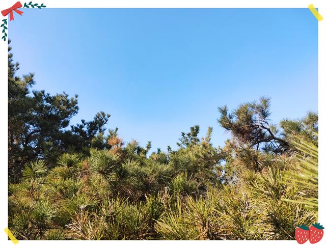 无人机买哪种好，新手最适合买的无人机（无人机航拍注意事项及新手购买无人机推荐）