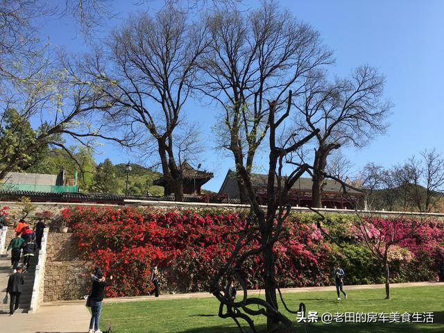 红螺寺求什么最灵验，红螺寺灵验（红螺寺在哪里求什么最灵验）