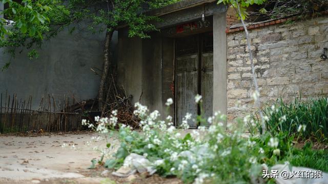 为什么老话说一人不能进庙呢，农村一人不进庙