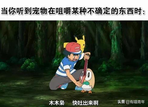 绿萝对猫有毒吗，猫咪吃了一口绿萝