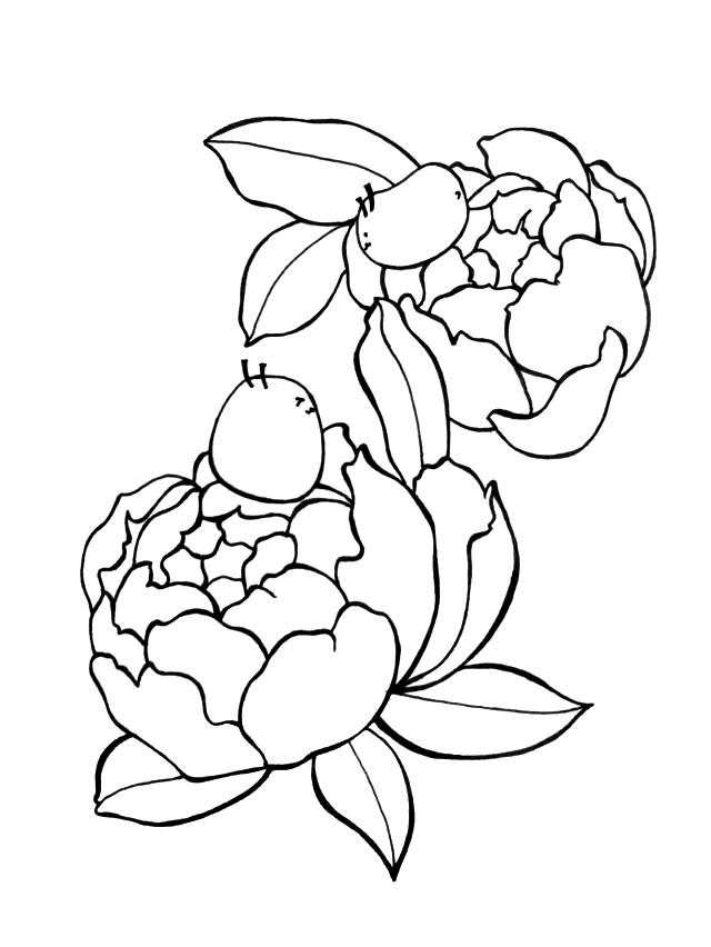 简单易学的画画，简笔画简单易学基础