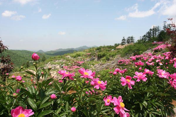 赣州市十大旅游景点，赣州这三个景点