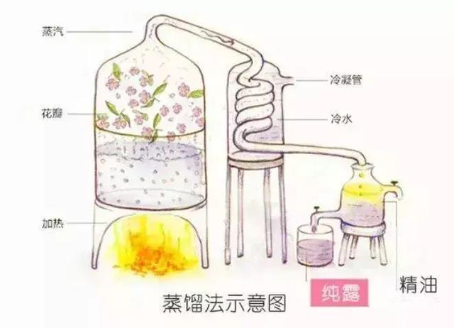 保加利亚玫瑰纯露，保加利亚玫瑰花纯露
