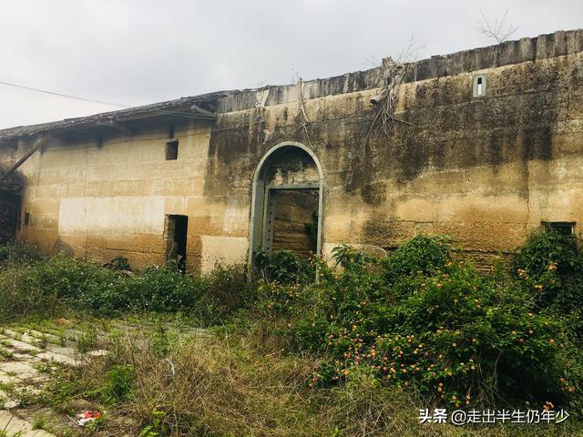 惠州市区旅游攻略自由行攻略，惠州最值得游玩的N个地方