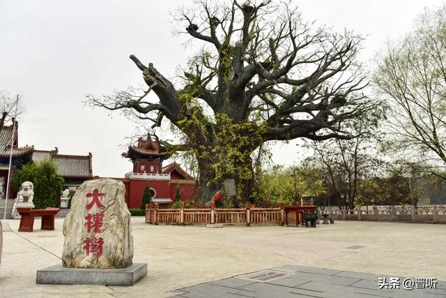 洪洞大槐树寻根祭祖园，山西洪洞大槐树寻根祭祖大会（洪洞大槐树）